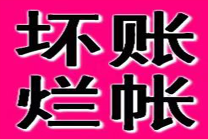 法定代表人及股东个人借款的偿还责任问题